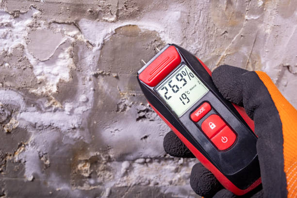 Best Mold Removal Company Near Me  in Ballville, OH