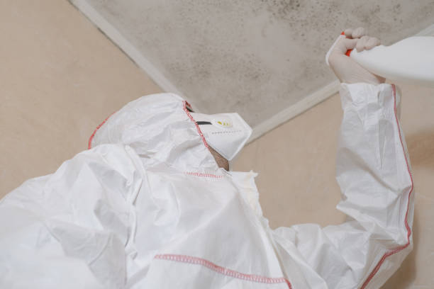 Best Mold Testing  in Ballville, OH